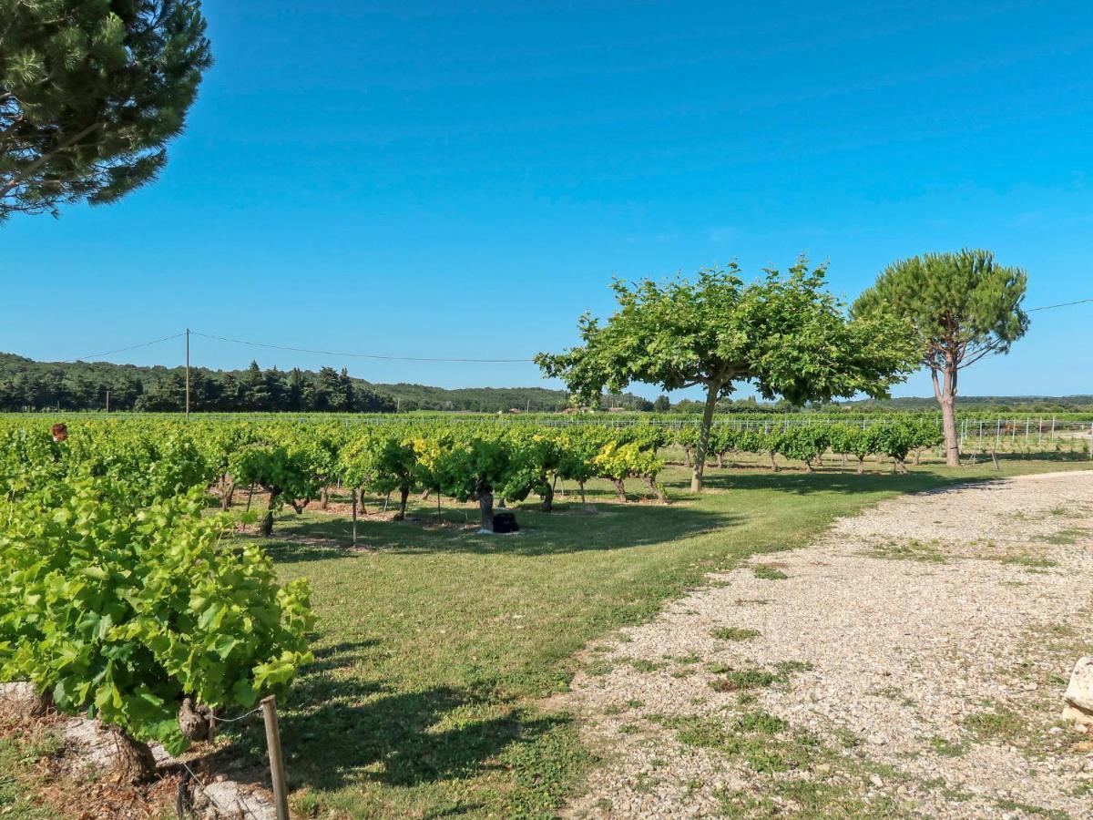 Holiday Home La Cardeline By Interhome Grillon エクステリア 写真